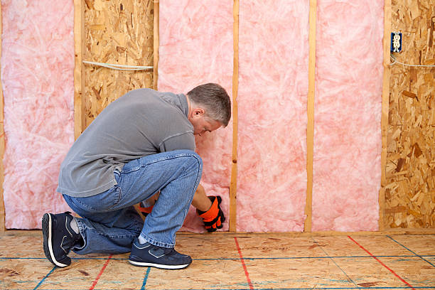 Best Geographic-Specific Insulation Services in Mcconnell Af, KS